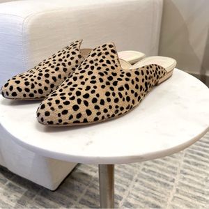 Dolce Vita Mules - Size 7.5